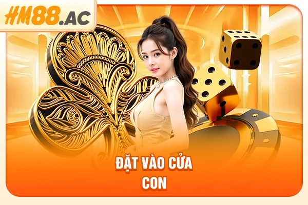 Đặt vào cửa con
