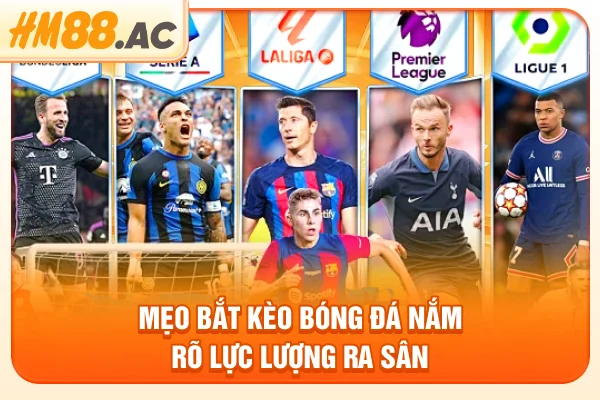 Mẹo bắt kèo bóng đá nắm rõ lực lượng ra sân