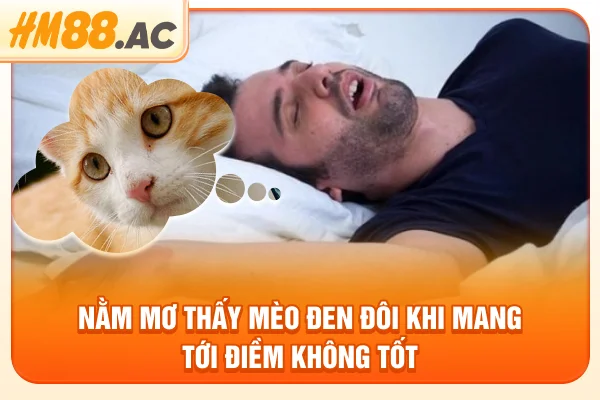 Nằm mơ thấy mèo đen đôi khi mang tới điềm không tốt