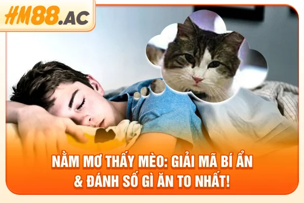 Nằm Mơ Thấy Mèo: Giải Mã Bí Ẩn & Đánh Số Gì Ăn To Nhất!